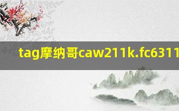 tag摩纳哥caw211k.fc6311限量