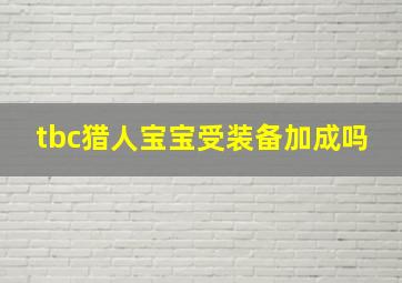 tbc猎人宝宝受装备加成吗