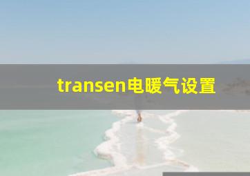 transen电暖气设置