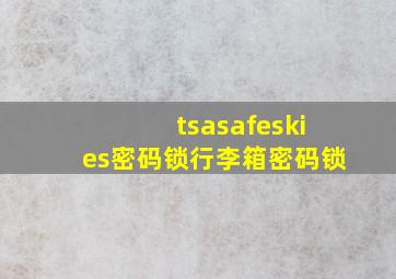 tsasafeskies密码锁行李箱密码锁