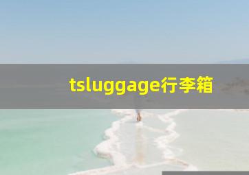 tsluggage行李箱