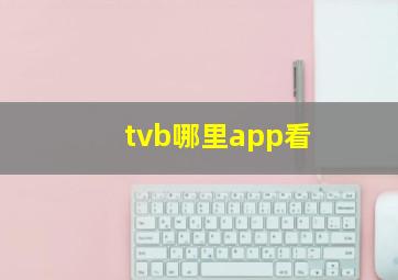 tvb哪里app看