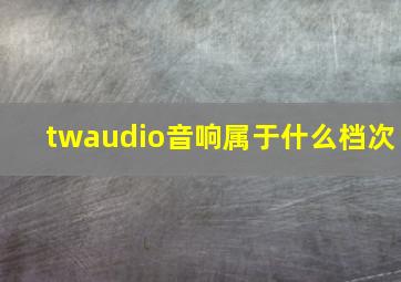 twaudio音响属于什么档次