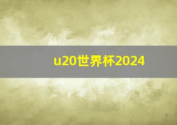 u20世界杯2024