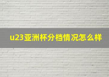 u23亚洲杯分档情况怎么样