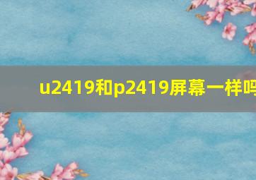 u2419和p2419屏幕一样吗