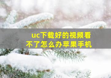 uc下载好的视频看不了怎么办苹果手机