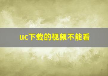 uc下载的视频不能看