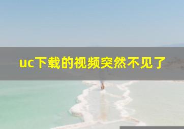 uc下载的视频突然不见了