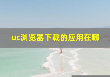 uc浏览器下载的应用在哪