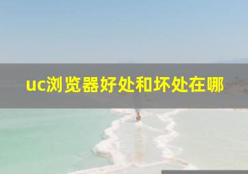 uc浏览器好处和坏处在哪