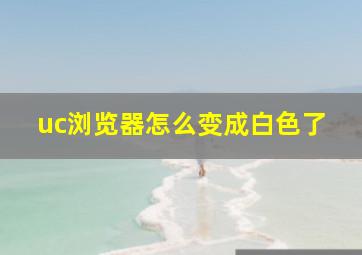 uc浏览器怎么变成白色了