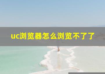 uc浏览器怎么浏览不了了