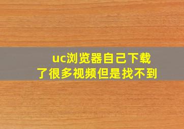 uc浏览器自己下载了很多视频但是找不到