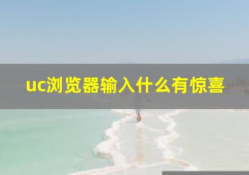 uc浏览器输入什么有惊喜