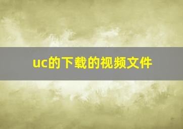 uc的下载的视频文件