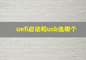 uefi启动和usb选哪个