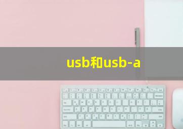 usb和usb-a