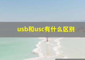 usb和usc有什么区别