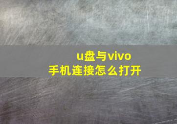 u盘与vivo手机连接怎么打开