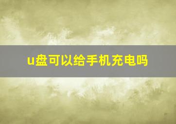 u盘可以给手机充电吗