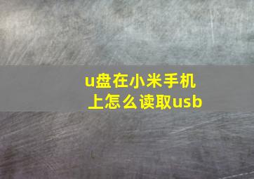 u盘在小米手机上怎么读取usb