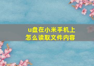 u盘在小米手机上怎么读取文件内容