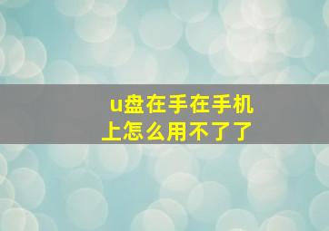 u盘在手在手机上怎么用不了了