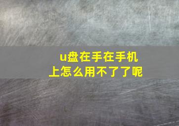 u盘在手在手机上怎么用不了了呢