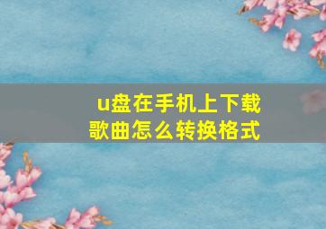 u盘在手机上下载歌曲怎么转换格式