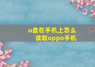 u盘在手机上怎么读取oppo手机