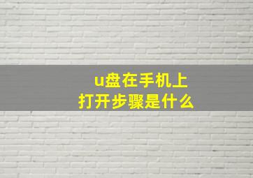 u盘在手机上打开步骤是什么