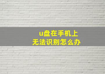 u盘在手机上无法识别怎么办