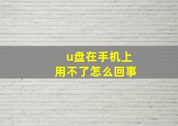 u盘在手机上用不了怎么回事