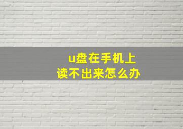 u盘在手机上读不出来怎么办