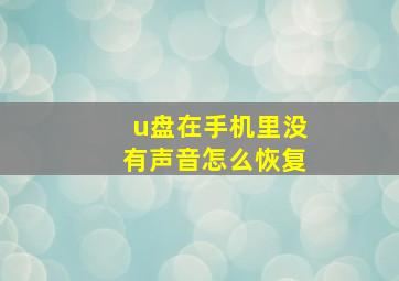 u盘在手机里没有声音怎么恢复