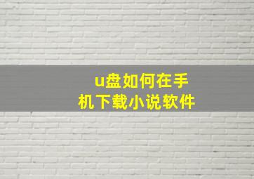 u盘如何在手机下载小说软件