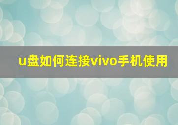 u盘如何连接vivo手机使用