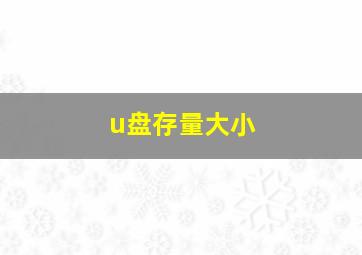 u盘存量大小