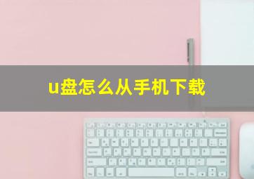 u盘怎么从手机下载