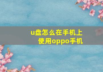 u盘怎么在手机上使用oppo手机