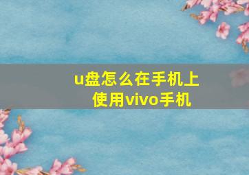 u盘怎么在手机上使用vivo手机