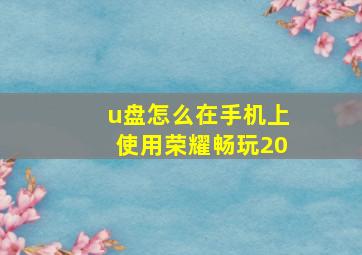 u盘怎么在手机上使用荣耀畅玩20