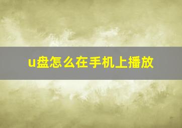 u盘怎么在手机上播放