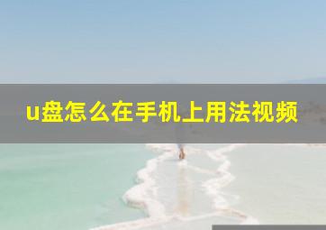 u盘怎么在手机上用法视频