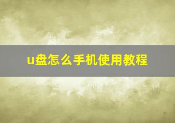 u盘怎么手机使用教程