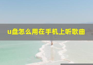 u盘怎么用在手机上听歌曲