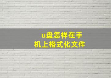 u盘怎样在手机上格式化文件