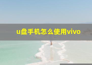 u盘手机怎么使用vivo