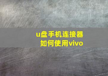 u盘手机连接器如何使用vivo